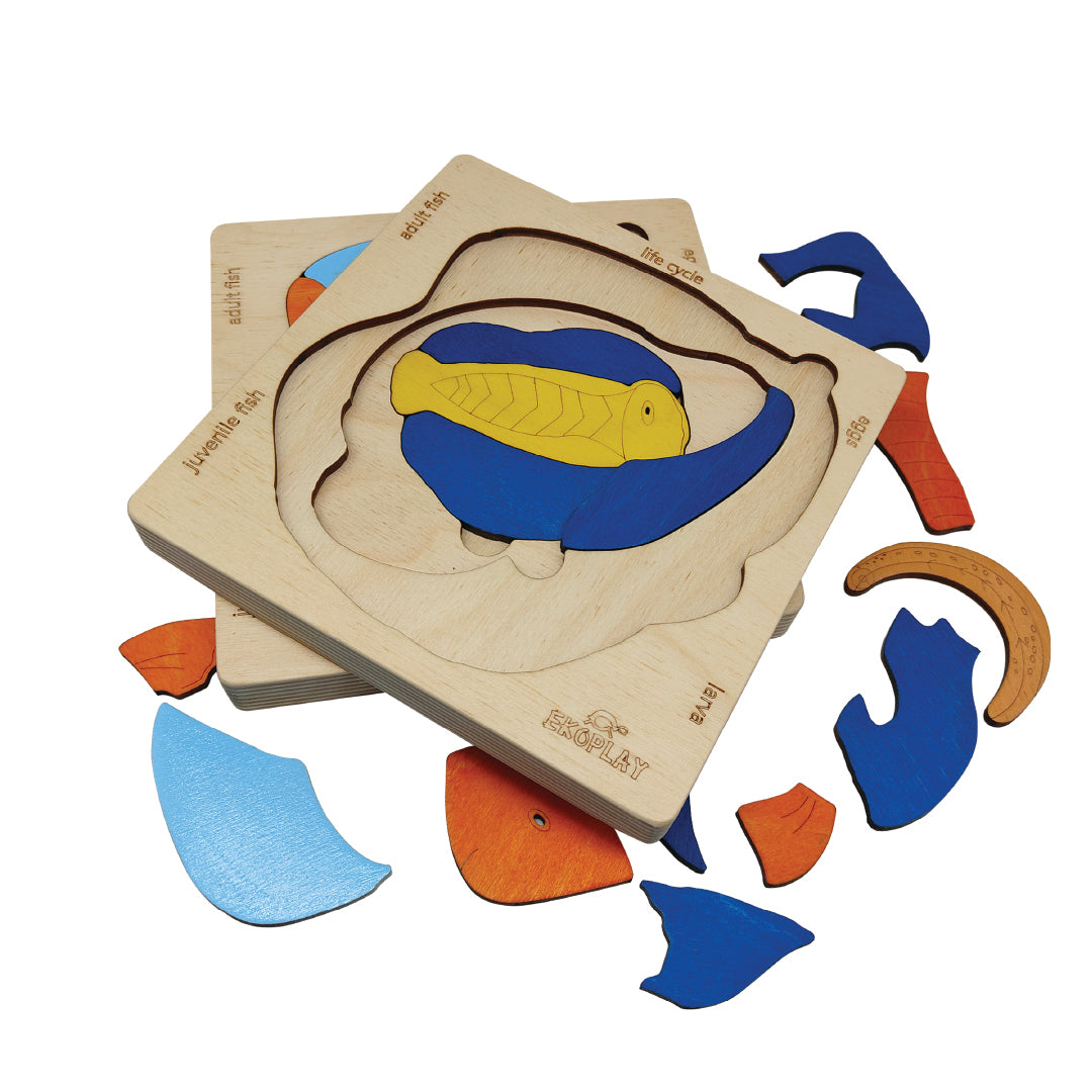 Fish Life Cycle Layer Puzzle – Aquatic Science Explorer