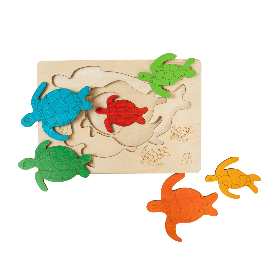 Hawksbill Turtles - 3+ Age Group