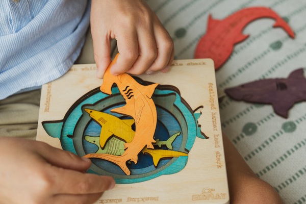 The Hidden Curriculum of Play: Why Puzzles and Toys Are Your Child’s Most Powerful Teachers