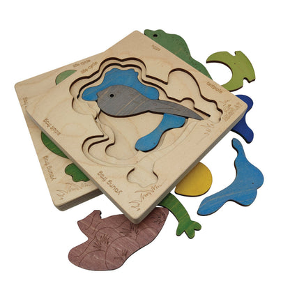 Frog Life Cycle Layer Puzzle – Nature Transformation Learning