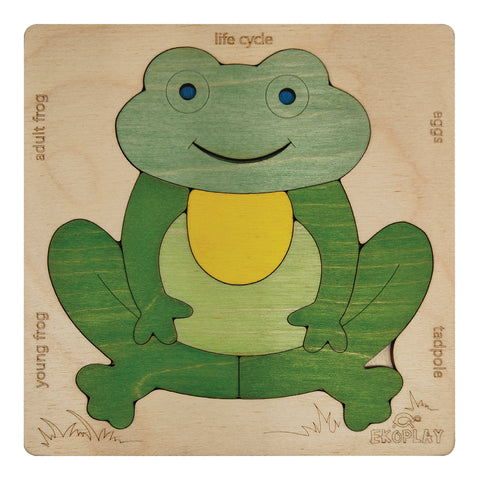 Life Cycle of A Frog | Wooden Multilayered Jigsaw Puzzles for Kids - 3 Years and Above