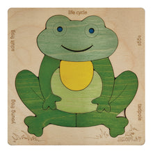 Life Cycle of A Frog | Wooden Multilayered Jigsaw Puzzles for Kids - 3 Years and Above