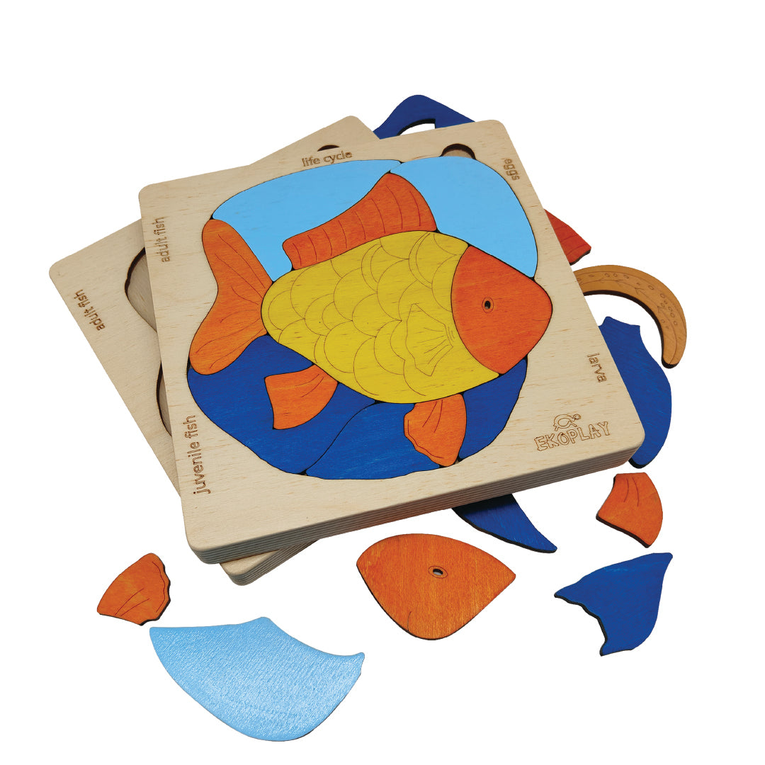 Fish Life Cycle Layer Puzzle – Aquatic Science Explorer
