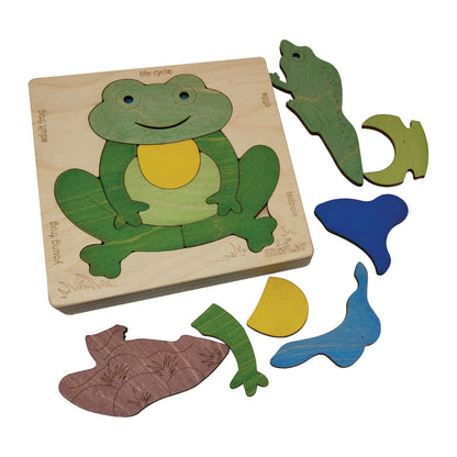 Frog Life Cycle Layer Puzzle – Nature Transformation Learning