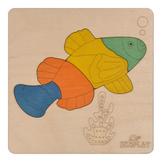 Fish In a Pond