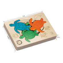 Hawksbill Turtles - 3+ Age Group