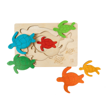 Hawksbill Turtles - 3+ Age Group