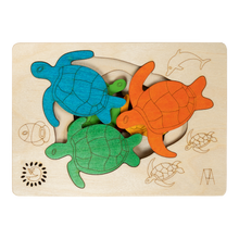 Hawksbill Turtles - 3+ Age Group