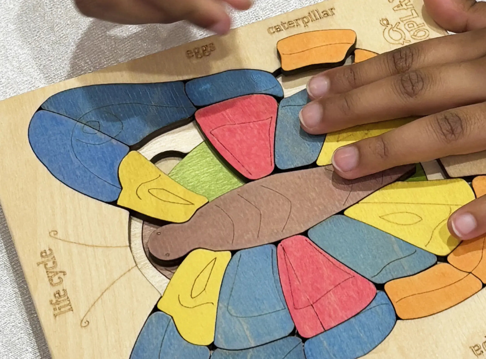 Puzzles that grow with your child