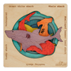 Endangered Sharks – Learn to Care for Ocean Life