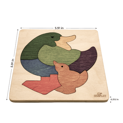 Rainbow Duck Learning Puzzle – Water Animal Play
