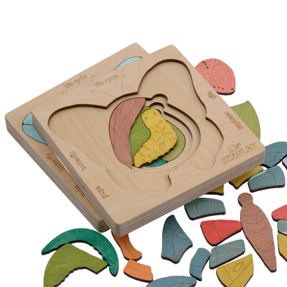🦋 Butterfly Life Cycle Multilayered  Puzzle – Watch It Grow!