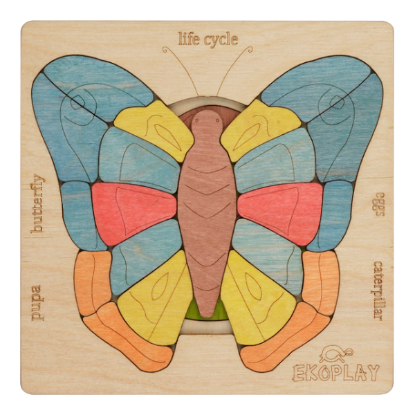 Life Cycle of a Butterfly