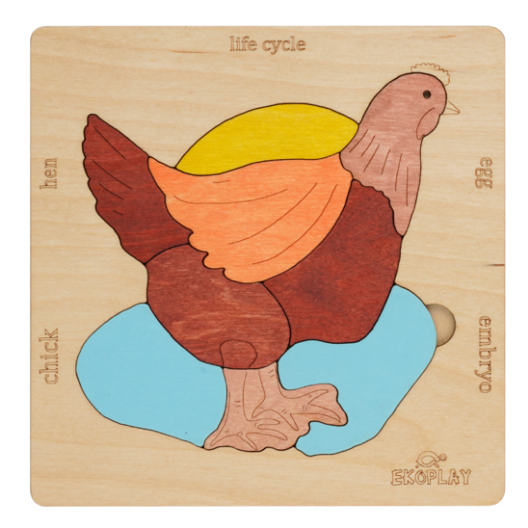 Life Cycle of A Chicken | Wooden Multilayered Jigsaw Puzzles for Kids - 3 years and Above