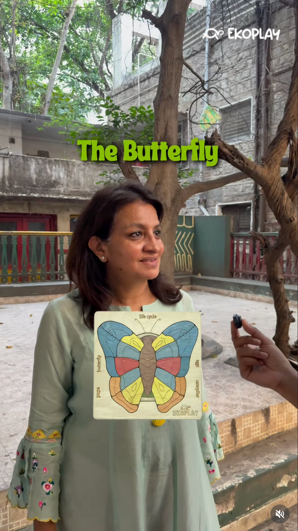 The Butterfly